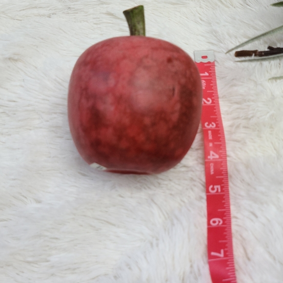 🌵 5/$30 Wood Apple Kitchen Decor - Picture 2 of 5